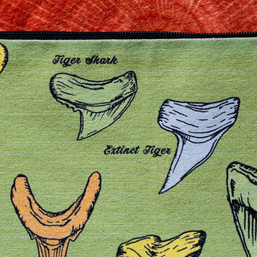 Bag of Fossil Shark Teeth (100+ pieces) – RAD Shirts Custom Printing