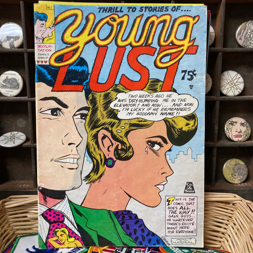 Young Lust comix No. 1 (Published by The Company and Sons, 1971)