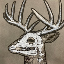 "Whitetail Skeleton #1"