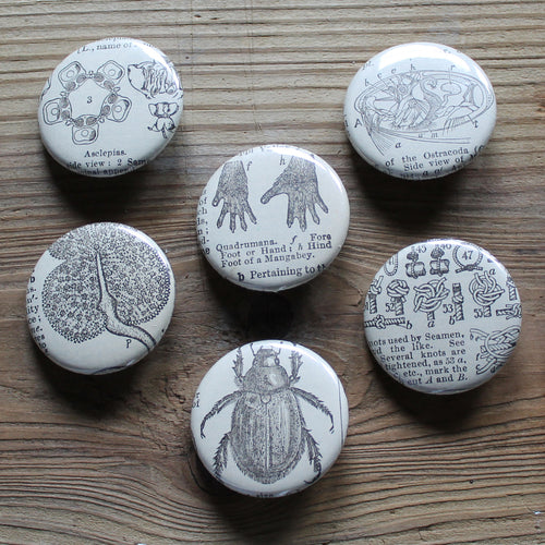 6 pinback buttons: Knot Chart, Beetle, Monkey Hands, and other antique images - RadCakes Shirt Printing