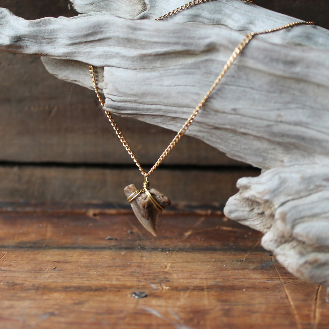 Shark tooth deals necklace choker