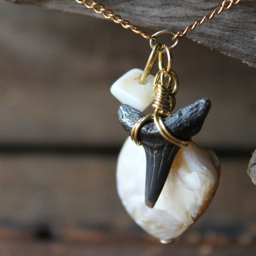 Fossil Lemon Shark Tooth and Shell long necklace - RadCakes Shirt Printing