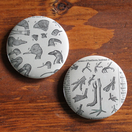 Pair of Bird Head and Feet 2.25