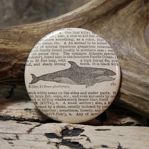 Killer Whale pinback button Orca marine mammal pin for sale